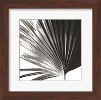 Framed Black and White Palm IV