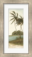 Framed Trish's Palms II