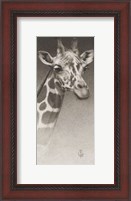 Framed Jean, The Giraffe