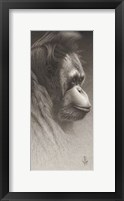 Framed Jojo, The Orangutan