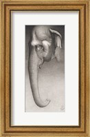 Framed Toni, The Elephant
