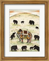 Framed Indian Elephant Gathering
