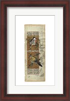 Framed Bird Pair from India I