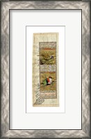 Framed Bird Pair from India II