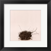 Framed Leebas Nest