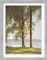 Framed Sunlit Trees II