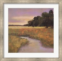Framed Placid Marsh