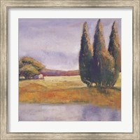 Framed Sunset Cypress