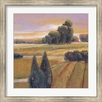 Framed Summer Cypress