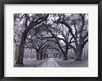 Framed Oak Arches