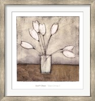 Framed Tulipa Group I