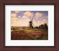 Framed Tulip Fields with Windmill