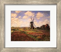 Framed Tulip Fields with Windmill