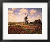 Framed Tulip Fields with Windmill