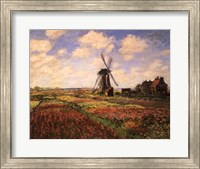 Framed Tulip Fields with Windmill