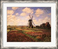 Framed Tulip Fields with Windmill