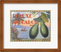 Framed Deluxe Avacados