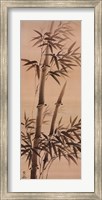 Framed Bamboo Forever I