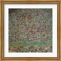 Framed Apple Tree