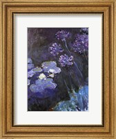 Framed Waterlillies and Agapanthus