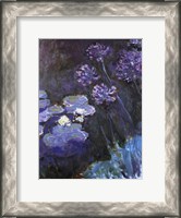 Framed Waterlillies and Agapanthus