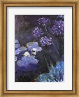 Framed Waterlillies and Agapanthus