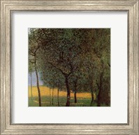 Framed Orchard, c.1916