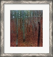 Framed Forest of Beeches, c.1903