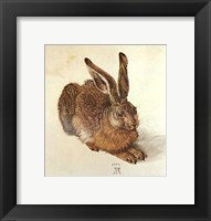 Framed Young Hare