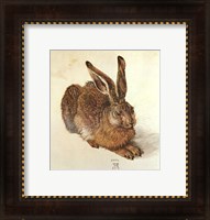 Framed Young Hare