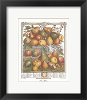 Framed January/Twelve Months of Fruits, 1732