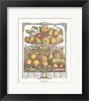 Framed March/Twelve Months of Fruits, 1732