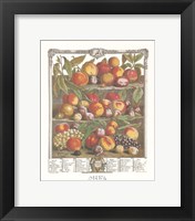 Framed August/Twelve Months of Fruits, 1732