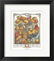 Framed November/Twelve Months of Fruits, 1732