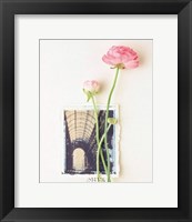 Framed Peony, Euro-Floral