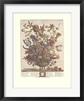Framed February/Twelve Months of Flowers, 1730