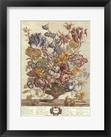 Framed April/Twelve Months of Flowers, 1730