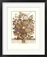 July/Twelve Months of Flowers, 1730 Framed Print