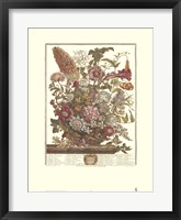 Framed August/Twelve Months of Flowers, 1730