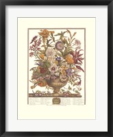September/Twelve Months of Flowers, 1730 Framed Print