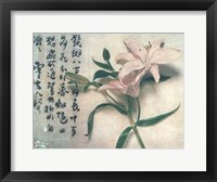 Framed Oriental Lily