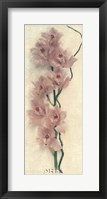 Framed Orchid with Branch