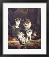 Framed Kittens