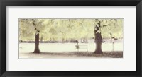Framed St. James' Park, London