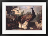 Framed Barnyard with Chickens