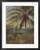 Framed Palm Tree, Nassau