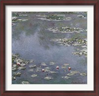 Framed Waterlilies