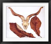 Framed Ram's Skull with Brown Leaves