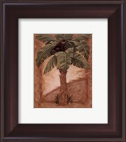 Framed Monkey Palm I