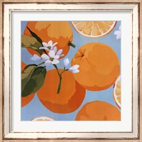 Framed Fresh Oranges